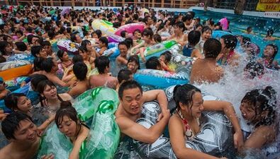 forms of infection and the reasons for the development of the fungus in the legs